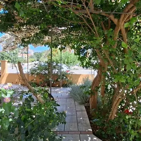 Helen's Bougainvillea